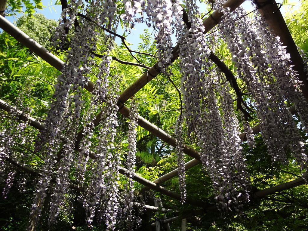 Akigawakeikoku Kinkoukaku Akiruno Exterior photo